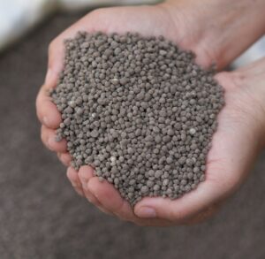 Crystal green granular fertilizer in hands