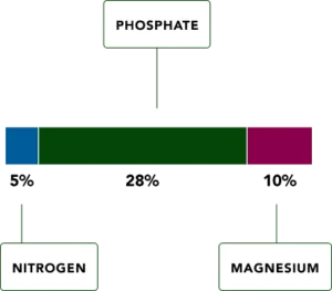 Key Nutrients Micrographic