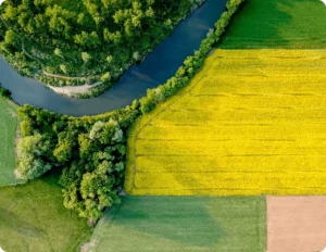 Aerial crop fields