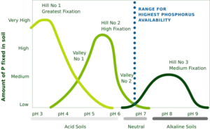Soil fixation graph