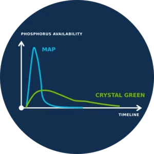 Crystal green release graph