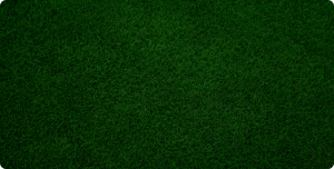 Green Turf
