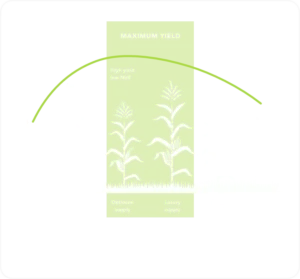Phosphorous Infographic