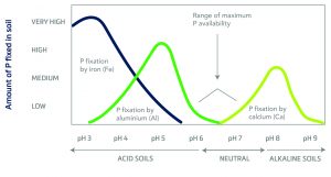 Cn Research Soil P Availability By Soil Ph Graph 01 (1)