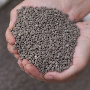 18 46 0 , Diammonium Phosphate (dap) Fertilizers In Farmer Hand .