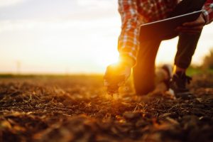 Person in the field reviewing soil