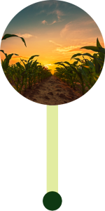 Sustainable Results