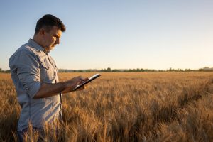 Man in field on tablet