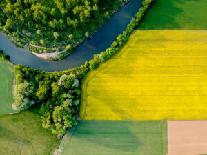 Field next to river